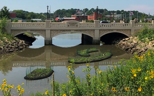 floating islands web
