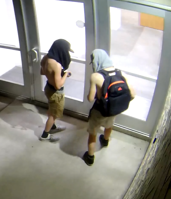 Two suspects in vandalism case